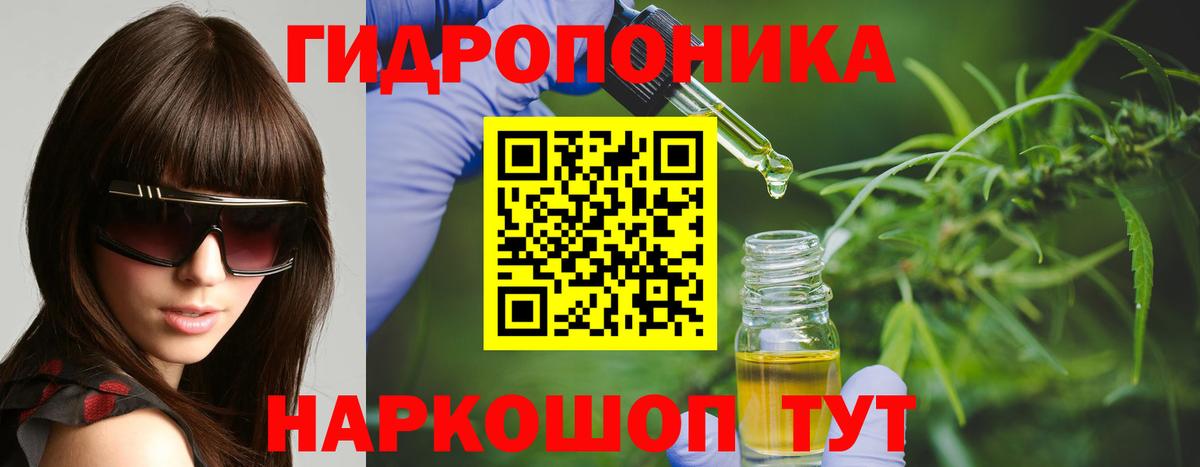 Шишки марихуана марихуана Губкин